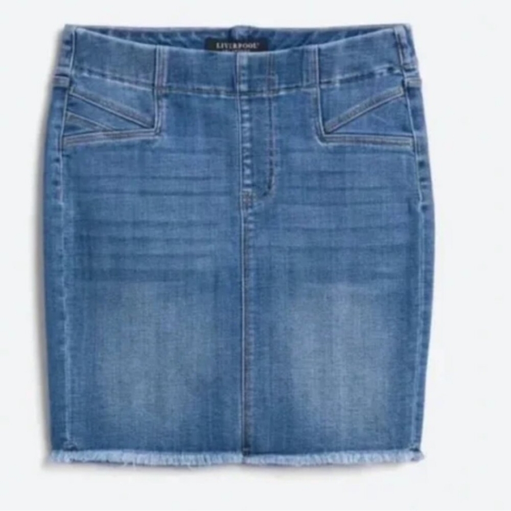 NWT Stitch Fix Liverpool Cat Eye Pull-On Skirt Indigo Color Rose Canyon 27/4 - Picture 3 of 16